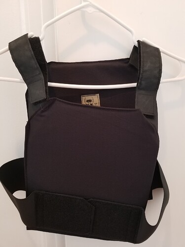 AR500Concealment