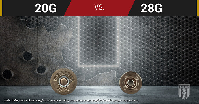 20 Gauge and 28 Gauge shell base diameters compared side by side, showing the 0.065-inch bore difference that drives payload, recoil, and pattern density