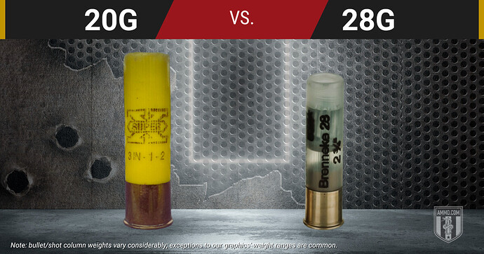 20 Gauge and 28 Gauge shells displayed side by side, showing the hull and bore size difference between the two sub-gauges