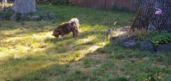 20250628_083512_HDR