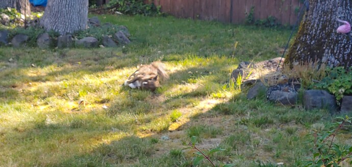 20250628_083519_HDR