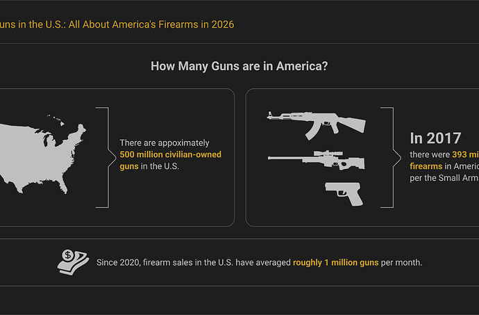 How Many Guns in the U.S. - Report Highlights