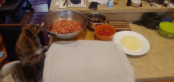 20250126_145721_HDR