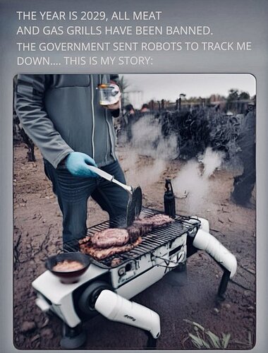 455606762_1468139073871098_8217359600878129620_n.jpg_stp=cp6_dst-jpg_nc_cat=109ccb=1-7_nc_sid=127cfc_nc_ohc=afzYi64S3BQQ7kNvgHQflUD_nc_ht=scontent-iad3-2 (1)