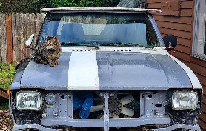 cat and truck