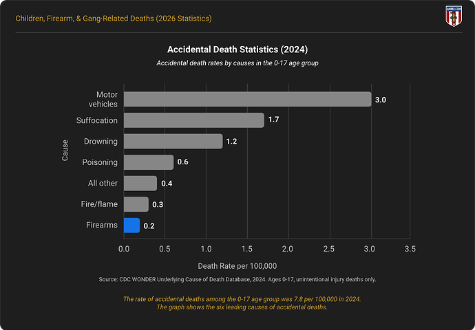 Accidental Death Statistics (2024)