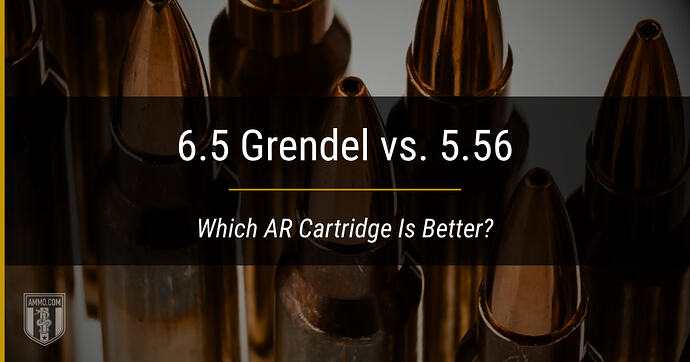 65-grendel-vs-556-hero