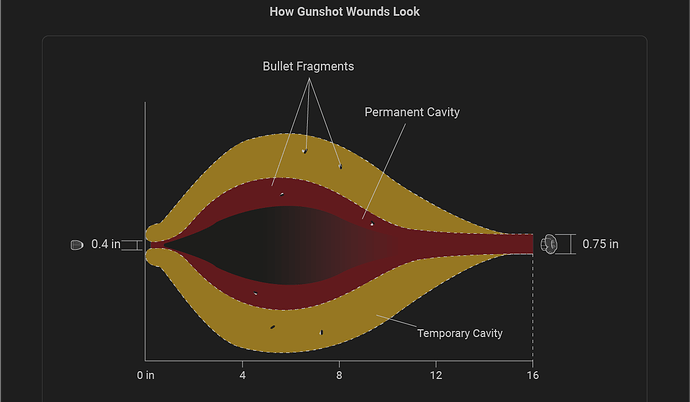 Gunshot wound ballistics diagram showing bullet trajectory, cavity formation and tissue damage