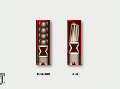 Shotgun shell cross-section comparison showing birdshot and slug ammunition types