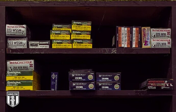 picture-of-ammo-on-a-shelf