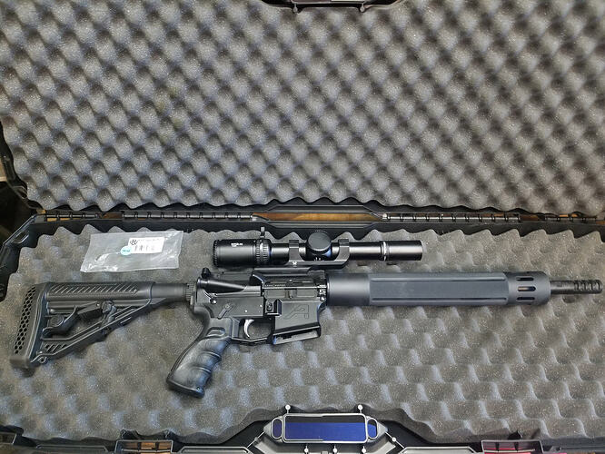 PST1