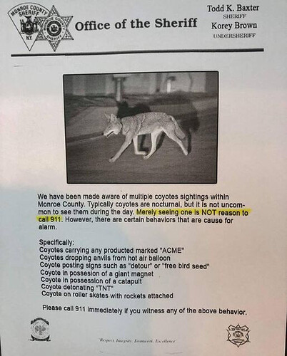 coyote notice