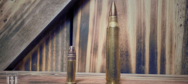 22 LR cartridge beside a 223 Remington cartridge for size comparison