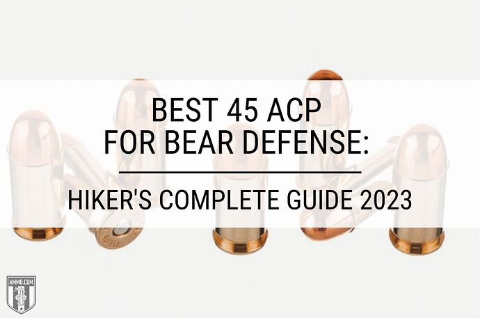 best-45-acp-for-bear-defense-hero-image