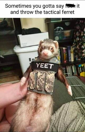 tacticalferret